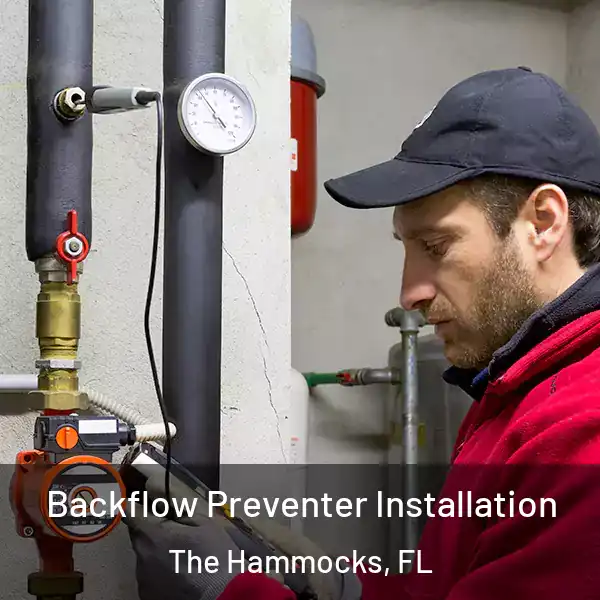  Backflow Preventer Installation The Hammocks, FL