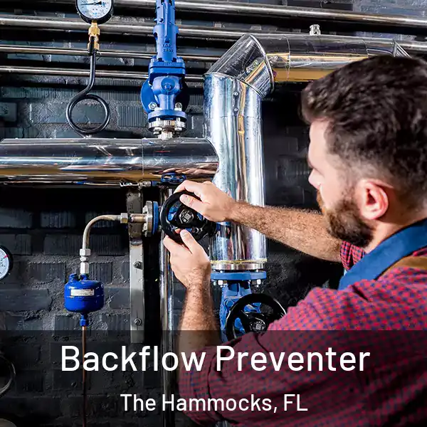  Backflow Preventer The Hammocks, FL