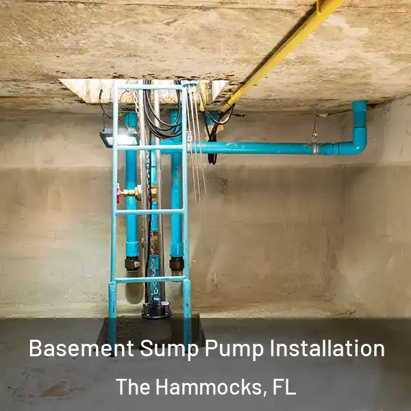  Basement Sump Pump Installation The Hammocks, FL