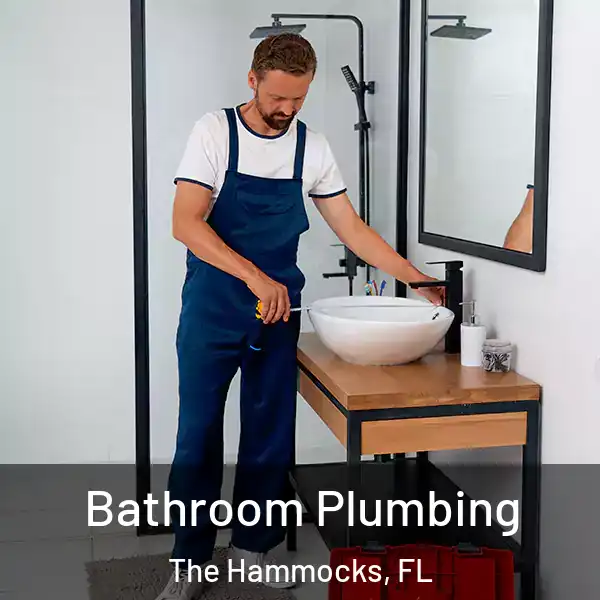  Bathroom Plumbing The Hammocks, FL