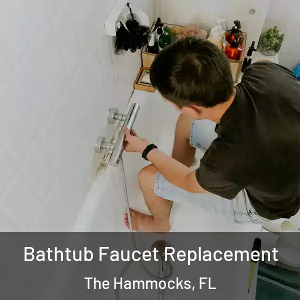  Bathtub Faucet Replacement The Hammocks, FL
