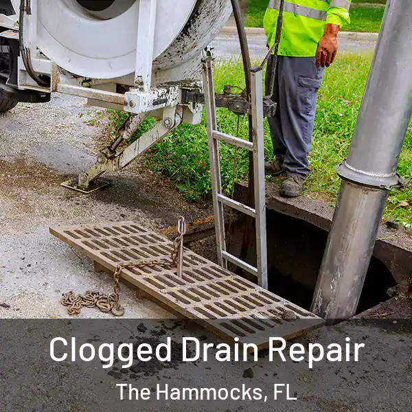  Clogged Drain Repair The Hammocks, FL