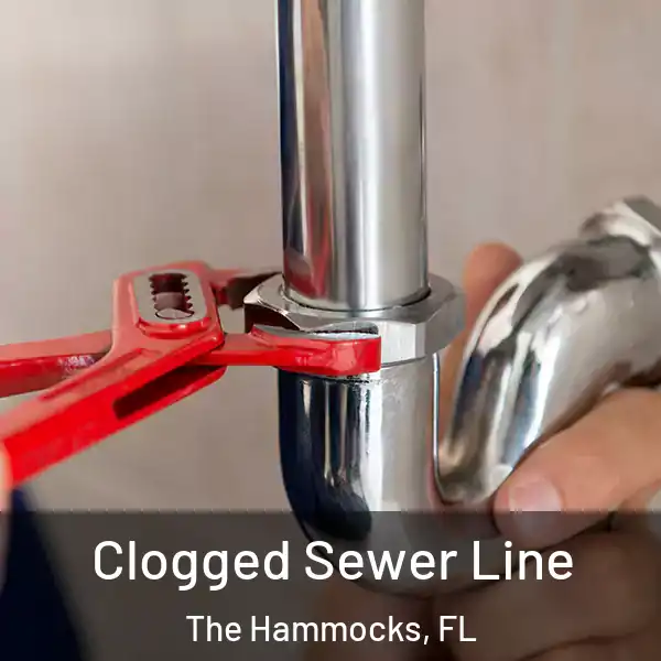  Clogged Sewer Line The Hammocks, FL