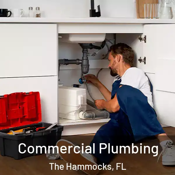 Commercial Plumbing The Hammocks, FL