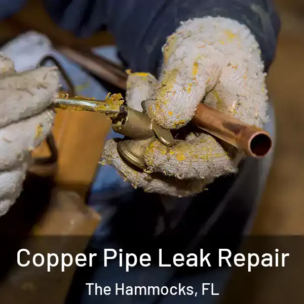  Copper Pipe Leak Repair The Hammocks, FL