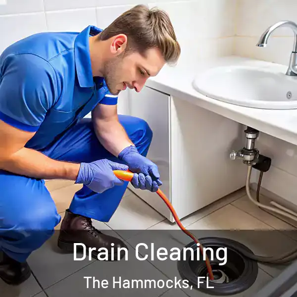  Drain Cleaning The Hammocks, FL