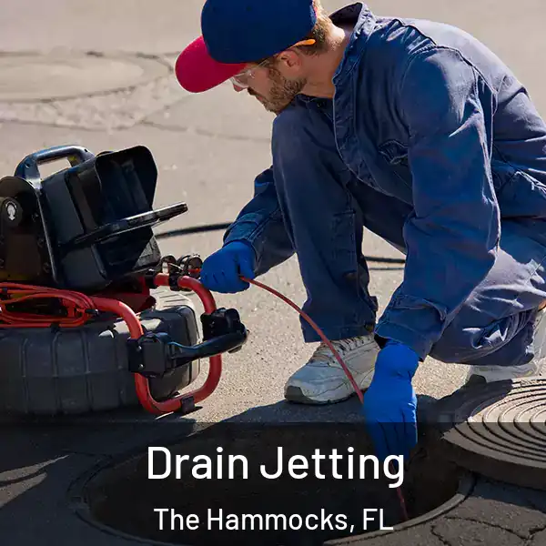  Drain Jetting The Hammocks, FL