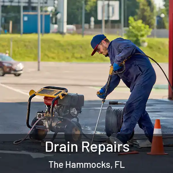  Drain Repairs The Hammocks, FL
