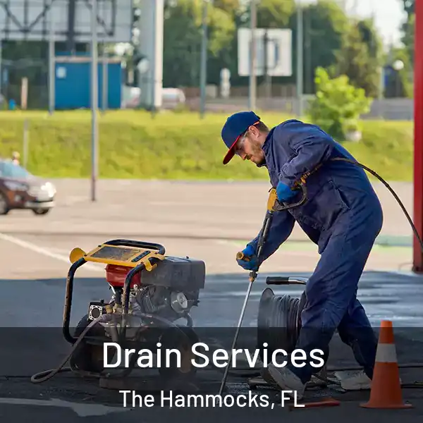  Drain Services The Hammocks, FL