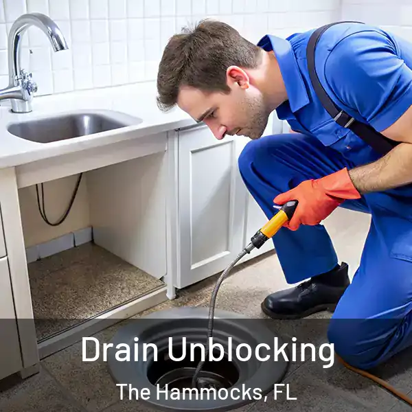  Drain Unblocking The Hammocks, FL