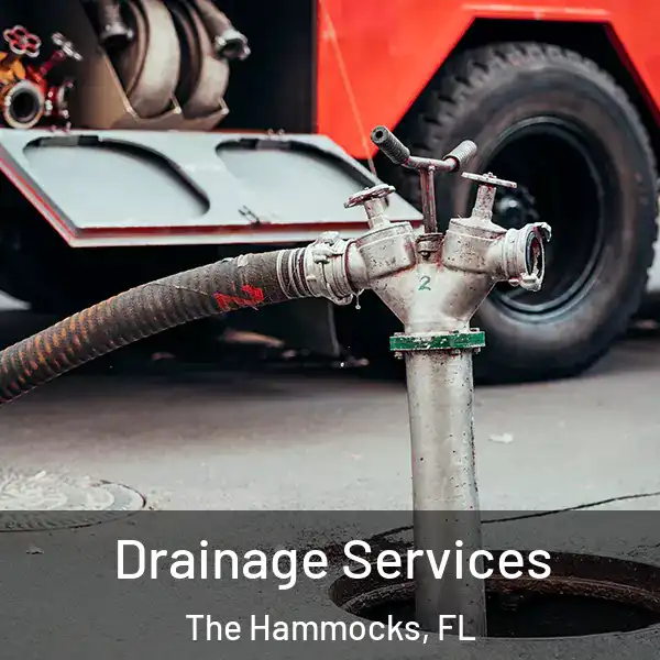  Drainage Services The Hammocks, FL