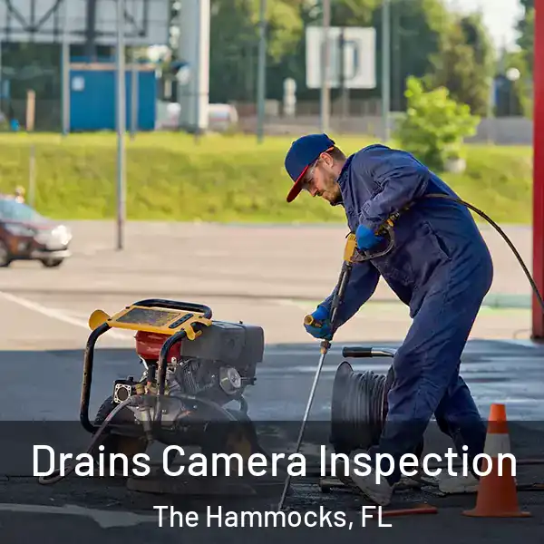  Drains Camera Inspection The Hammocks, FL