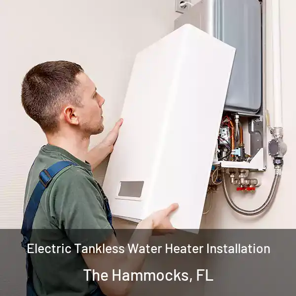  Electric Tankless Water Heater Installation The Hammocks, FL