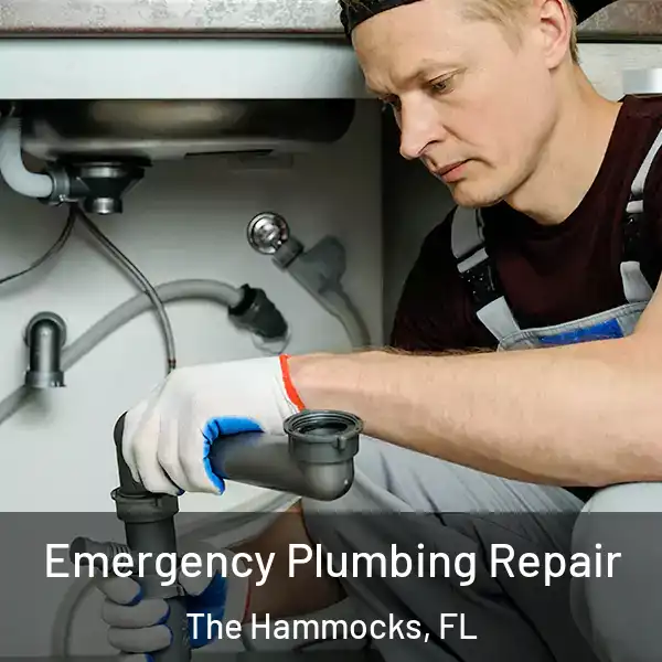  Emergency Plumbing Repair The Hammocks, FL
