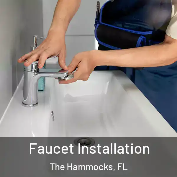  Faucet Installation The Hammocks, FL