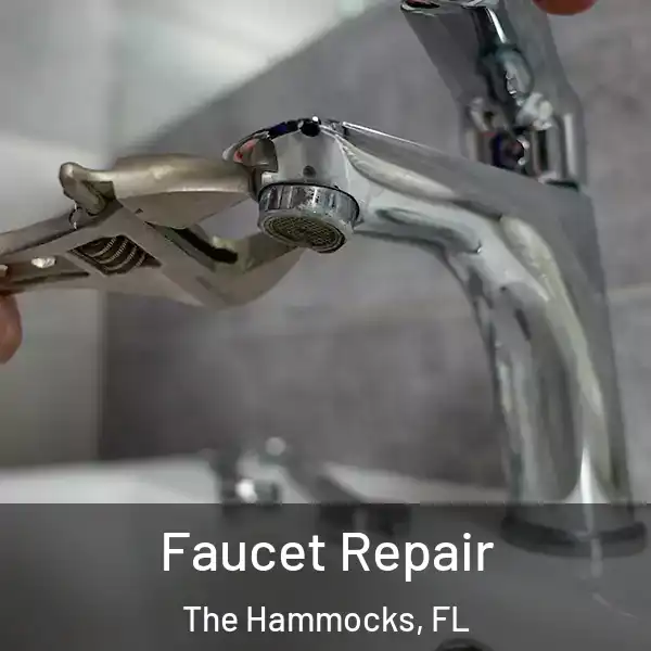  Faucet Repair The Hammocks, FL