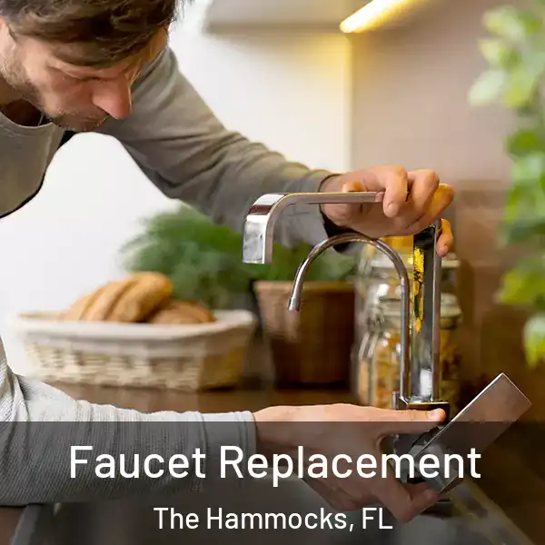  Faucet Replacement The Hammocks, FL