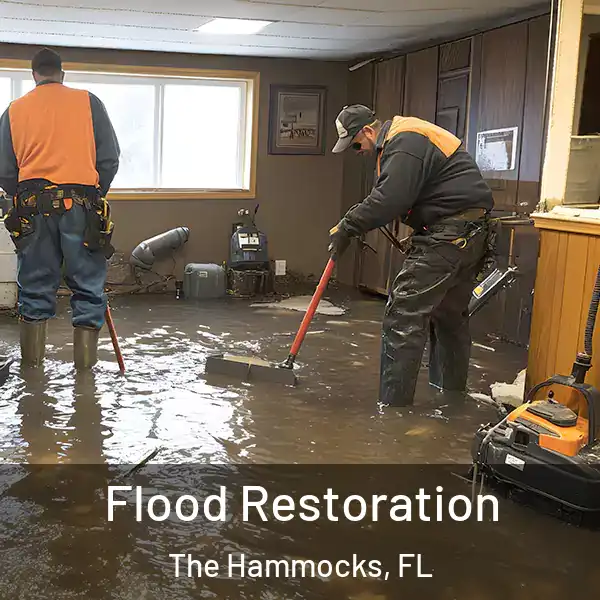  Flood Restoration The Hammocks, FL