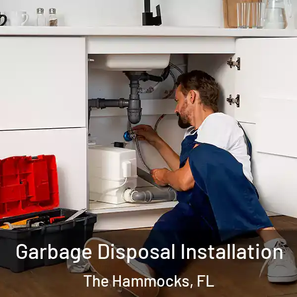  Garbage Disposal Installation The Hammocks, FL