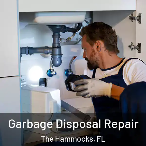  Garbage Disposal Repair The Hammocks, FL
