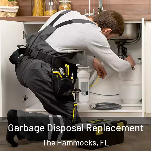  Garbage Disposal Replacement The Hammocks, FL