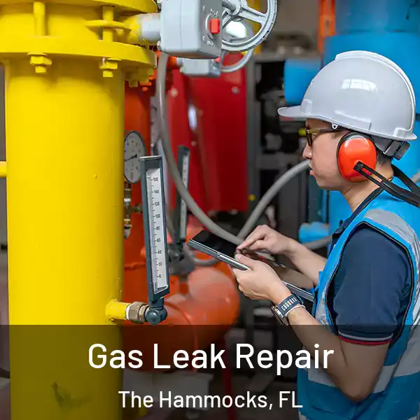  Gas Leak Repair The Hammocks, FL