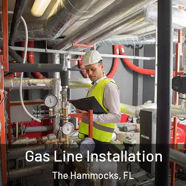  Gas Line Installation The Hammocks, FL