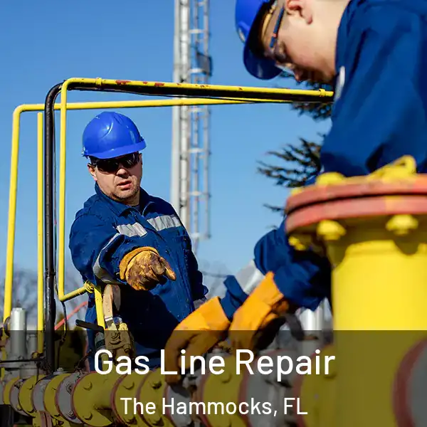  Gas Line Repair The Hammocks, FL