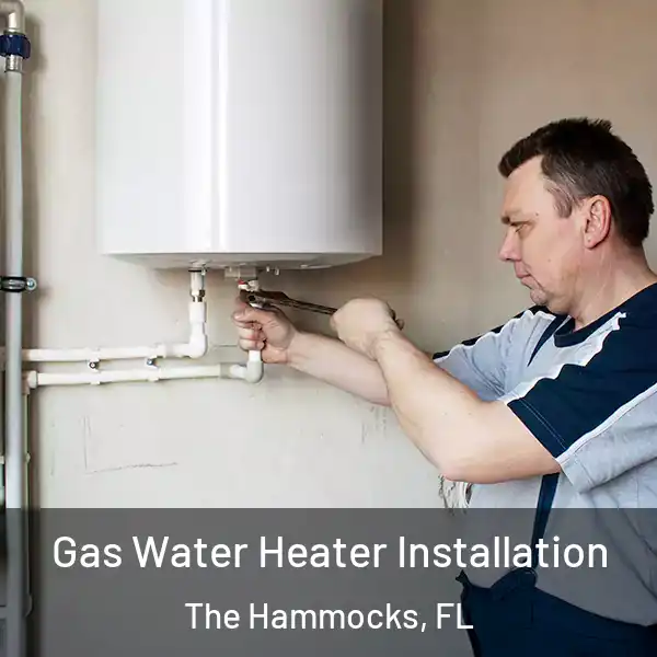  Gas Water Heater Installation The Hammocks, FL