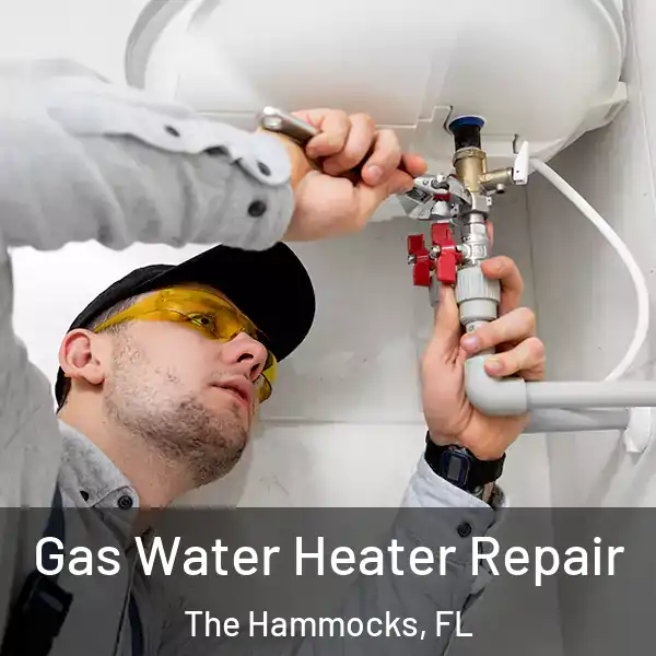 Gas Water Heater Repair The Hammocks, FL