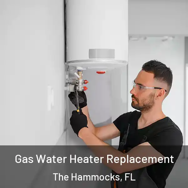  Gas Water Heater Replacement The Hammocks, FL