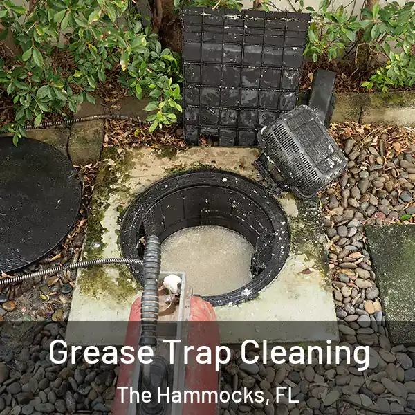  Grease Trap Cleaning The Hammocks, FL