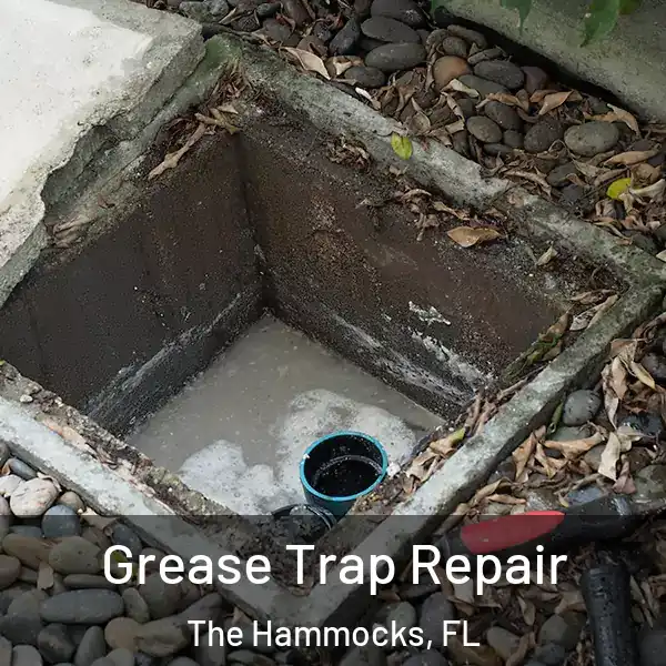  Grease Trap Repair The Hammocks, FL
