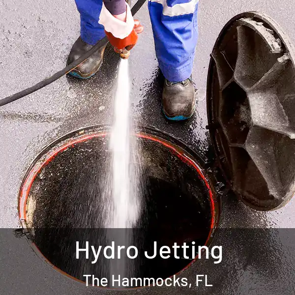  Hydro Jetting The Hammocks, FL