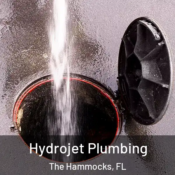  Hydrojet Plumbing The Hammocks, FL