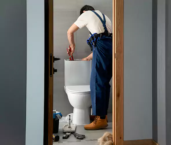 Professional Plumbers for Toilet Bowl Replacement in The Hammocks, FL: Schedule Affordable Toilet Replacement Services With Us