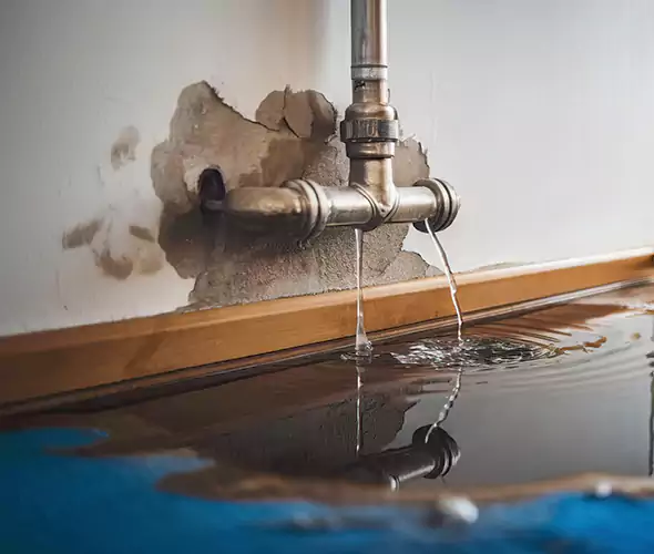 Professional Water Damage Restoration Experts in The Hammocks, FL — Fast, Reliable & Certified