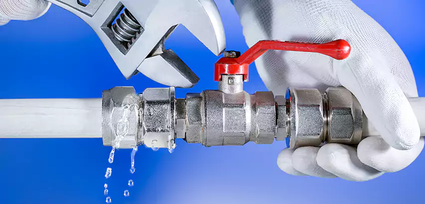 Water Line Repair in The Hammocks, FL