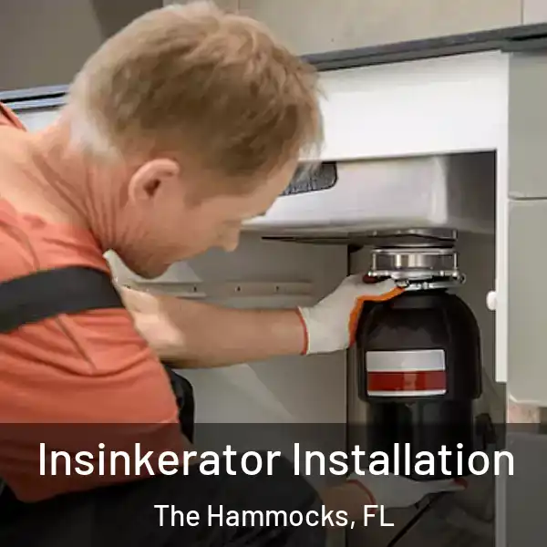 Insinkerator Installation The Hammocks, FL