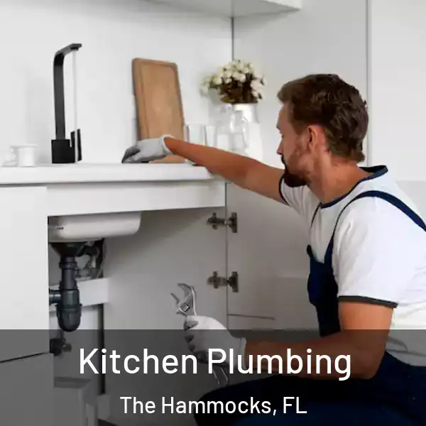  Kitchen Plumbing The Hammocks, FL