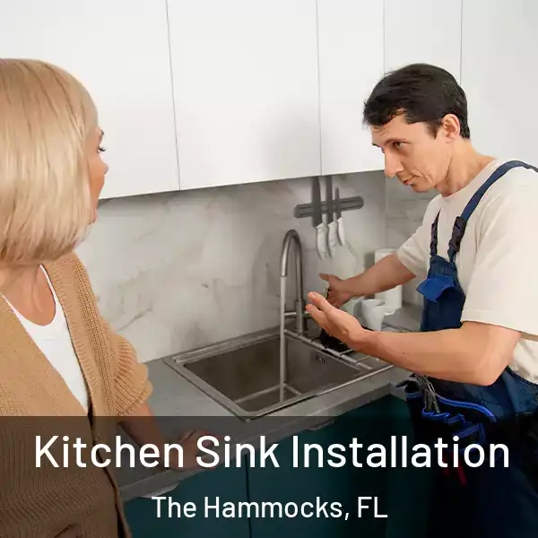  Kitchen Sink Installation The Hammocks, FL