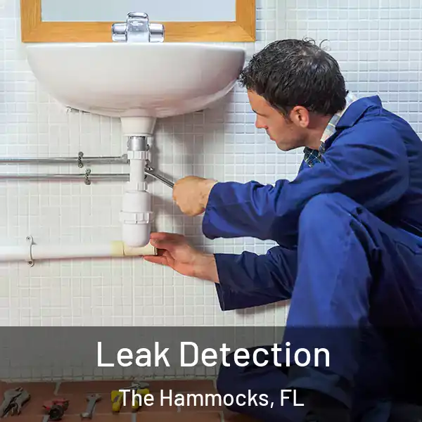  Leak Detection The Hammocks, FL