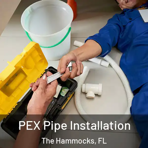  PEX Pipe Installation The Hammocks, FL