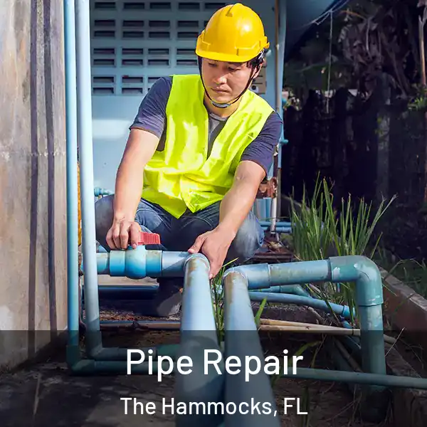  Pipe Repair The Hammocks, FL