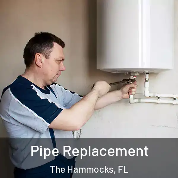  Pipe Replacement The Hammocks, FL