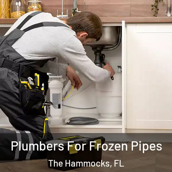  Plumbers For Frozen Pipes The Hammocks, FL