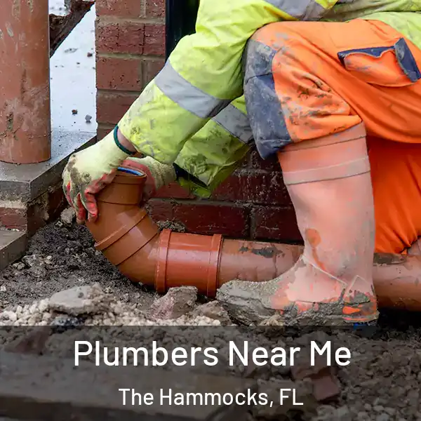  Plumbers Near Me The Hammocks, FL