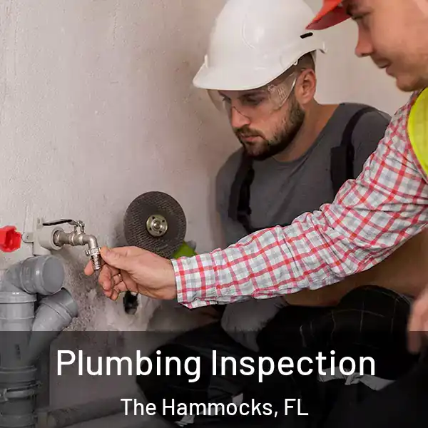  Plumbing Inspection The Hammocks, FL