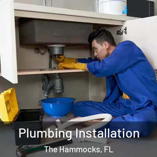  Plumbing Installation The Hammocks, FL