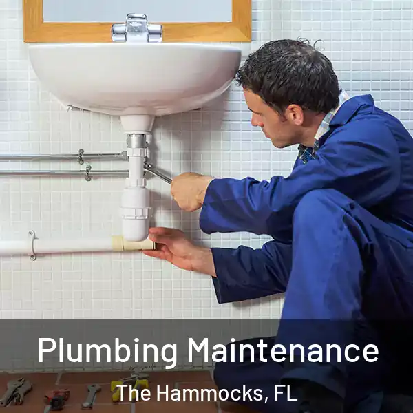  Plumbing Maintenance The Hammocks, FL
